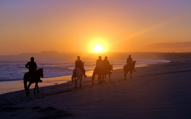 Gansbaai & Pearly Beach Horse Trails