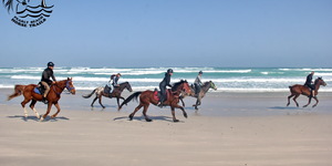 Gansbaai & Pearly Beach Horse Trails