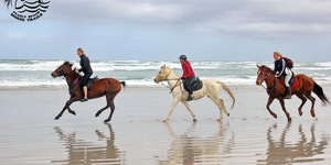 Gansbaai & Pearly Beach Horse Trails