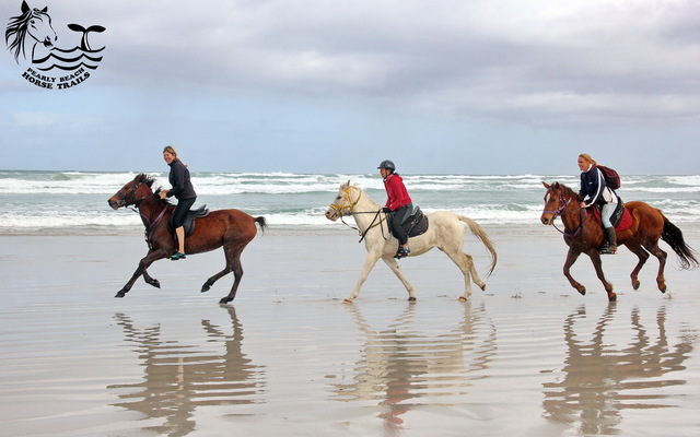 Gansbaai & Pearly Beach Horse Trails