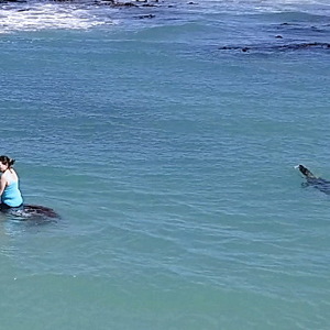 Gansbaai & Pearly Beach Horse Trails