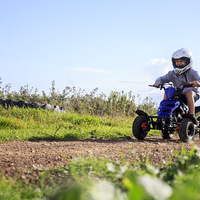 Hermanus - Wheelspin Outdoor Adventure Go-Karts - 1km Drive For Smaller Children