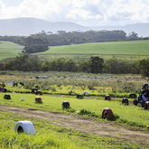 Hermanus - Wheelspin Outdoor Adventure Go-Karts - Biking Trails