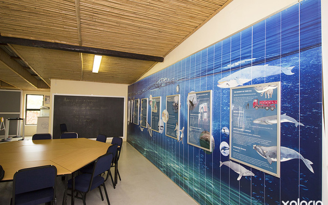 bettys_bay_places_to_eat_restaurant_on_the_edge_restaurant_life_of_a_while_illustration_1537526350_1566458362