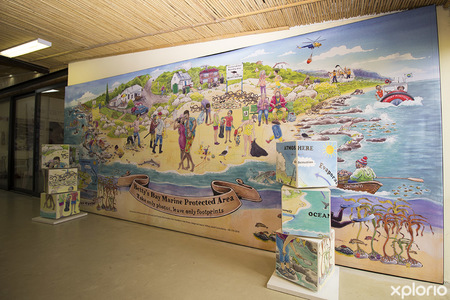 bettys_bay_places_to_eat_restaurant_on_the_edge_restaurant_view_of_protecetd_area_1537526459_1566458363