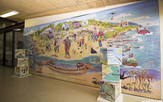 bettys_bay_places_to_eat_restaurant_on_the_edge_restaurant_view_of_protecetd_area_1537526459_1566458363