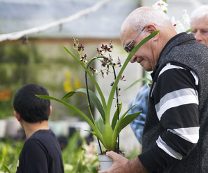 Eikenhoff Orchid Nursery Open Day - 7 September 2019