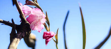 hermanus_things_to_do_percy_tours_nature_tours_1566557498