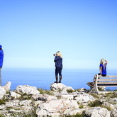 Hermanus - Percy Tours - Whale Watching