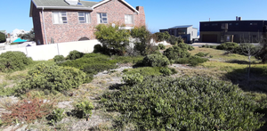 595 mÂ² Vacant Land for Sale in De Kelders 