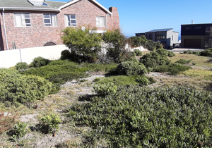 595 mÂ² Vacant Land for Sale in De Kelders 