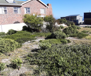 595 mÂ² Vacant Land for Sale in De Kelders 