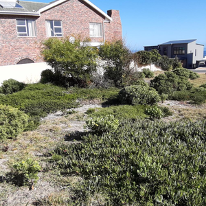 pam_golden_properties_plot_2_1566564308