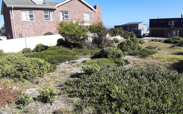 pam_golden_properties_plot_2_1566564308