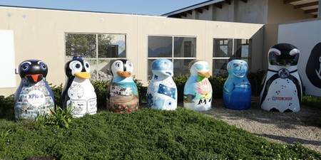 062_fixed_IMG_4308.scale_400_1566569527