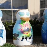 Gansbaai Penguin Campaign