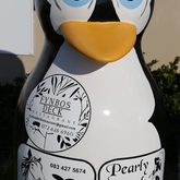 Pearly Beach Penguin