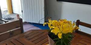 f297dec8_2592_4d22_8577_e0a26ab63d2f_1566828387