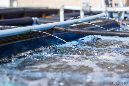 hermanus_things_to_do_abalone_tours_heart_of_abalone_the_water_pumping_in_1566997062