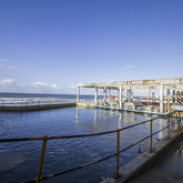 Hermanus - Heart of Abalone - Pumping Fresh Water