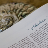 Hermanus - Heart of Abalone - Abalone Tours