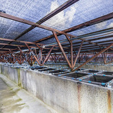 Hermanus - Heart of Abalone - Abalone Farm