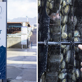 Hermanus - Heart of Abalone