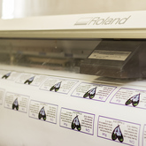 Hermanus - Picasso Signs - Printing