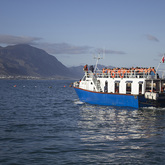 Hermanus Whale Cruises - Boat