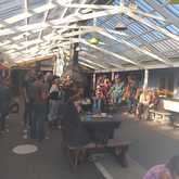 Head Office Pub - Pringle Bay - Live entertainment