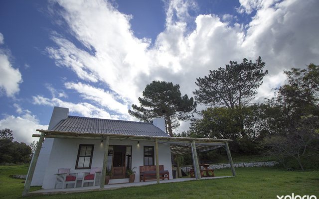 kleinmond_accommodation_njr_cottage_cottage_1537944358_1567425771