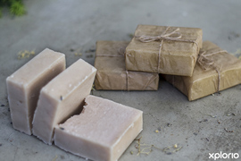 Go Green With Mai & Co