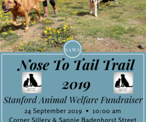 Nose To Tail Trail 2019 Event