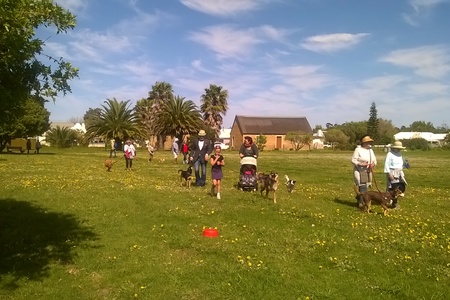 Nose To Tail Trail 2016