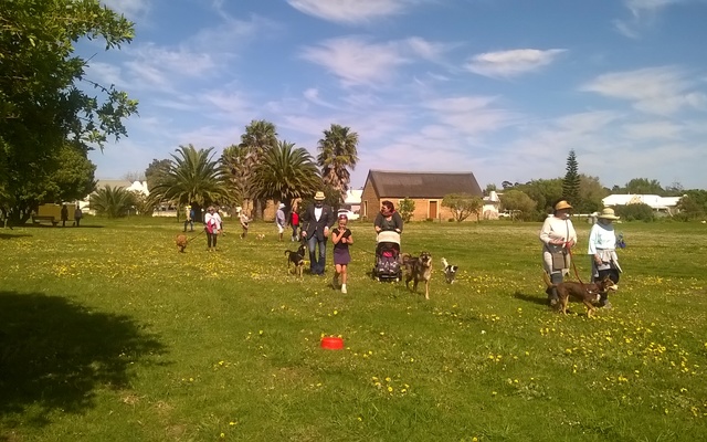 Nose To Tail Trail 2016