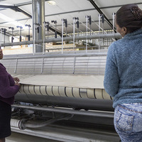 Hermanus - Walkerbay Cleaning and Laundry Services - Large Scale Ironing