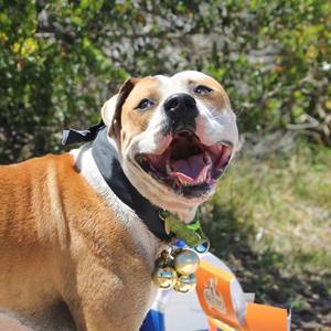 46151696_1898126696973833_5656869200421978112_n_1547038024_1568109408