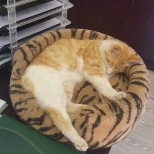 46657255_1907563079363528_4554777332388200448_n_1547038084_1568109409