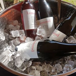 36702455_1728075077241980_6253453326206107648_n_1568148937