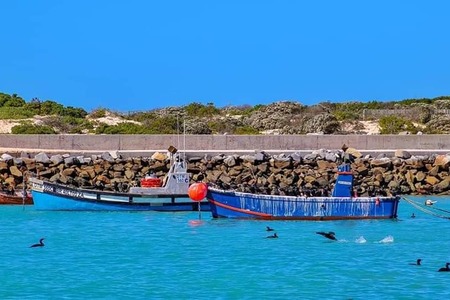 68595307_2403021273310659_6985458062890893312_n_1__1568184976