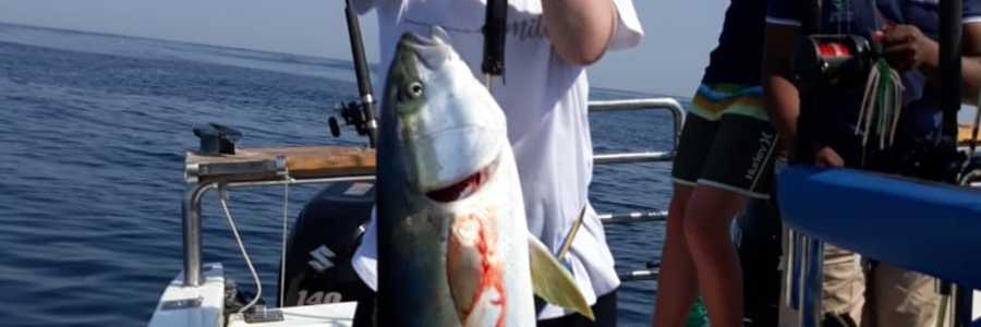 20276dbc_014a_4677_b6cf_cfa46211782c_1568192209