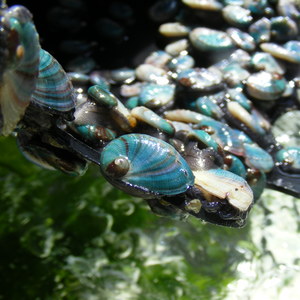 Weaning3_DSCF8259_1568283762