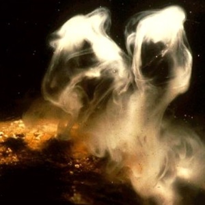 spawning_male_abalone_1568283179