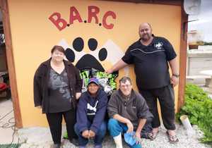 BARC Animal Welfare Launches an SMS Donation Line