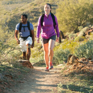 de_hoop_image_2_1568729946