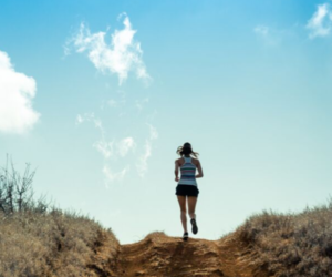 Run, Hike or Bike our Trails