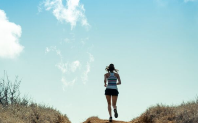 de_hoop_image_3_1568729947