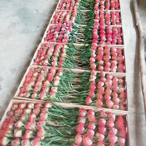 66637421_2925517554142043_3402077795986178048_n_1568731602