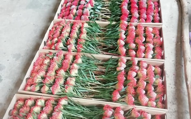 66637421_2925517554142043_3402077795986178048_n_1568731602