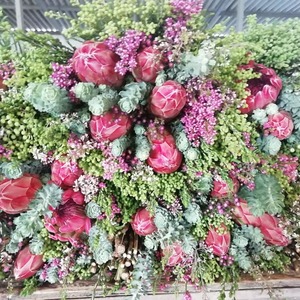 66842085_2925518950808570_8195867593085550592_n_1568731603